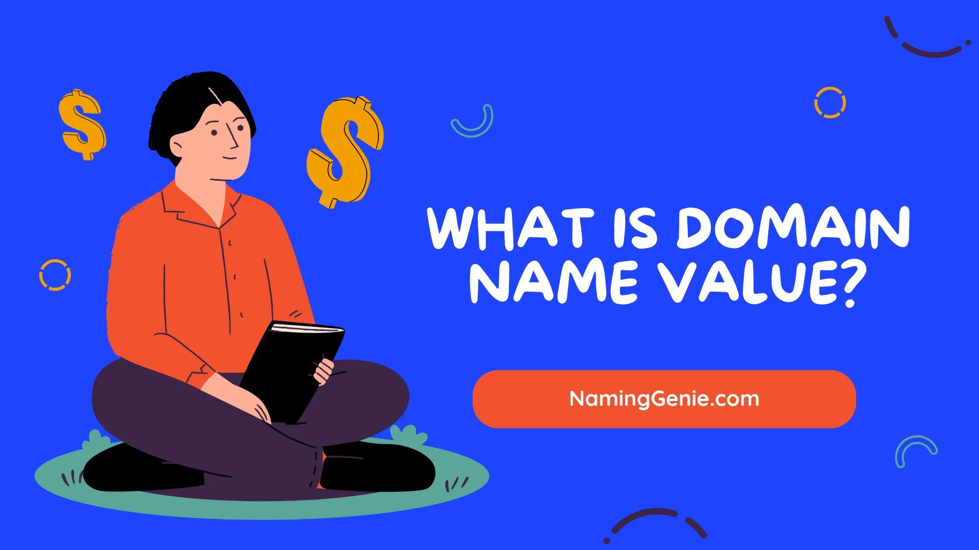 What is Domain Value